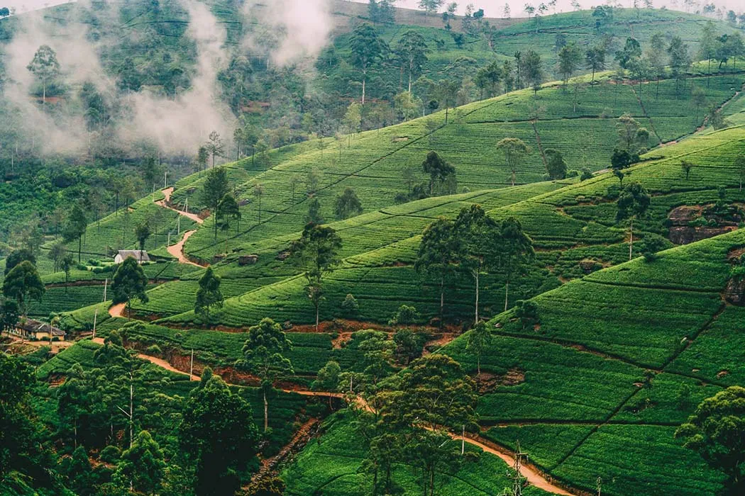 Nuwara Eliya, Sri Lanka