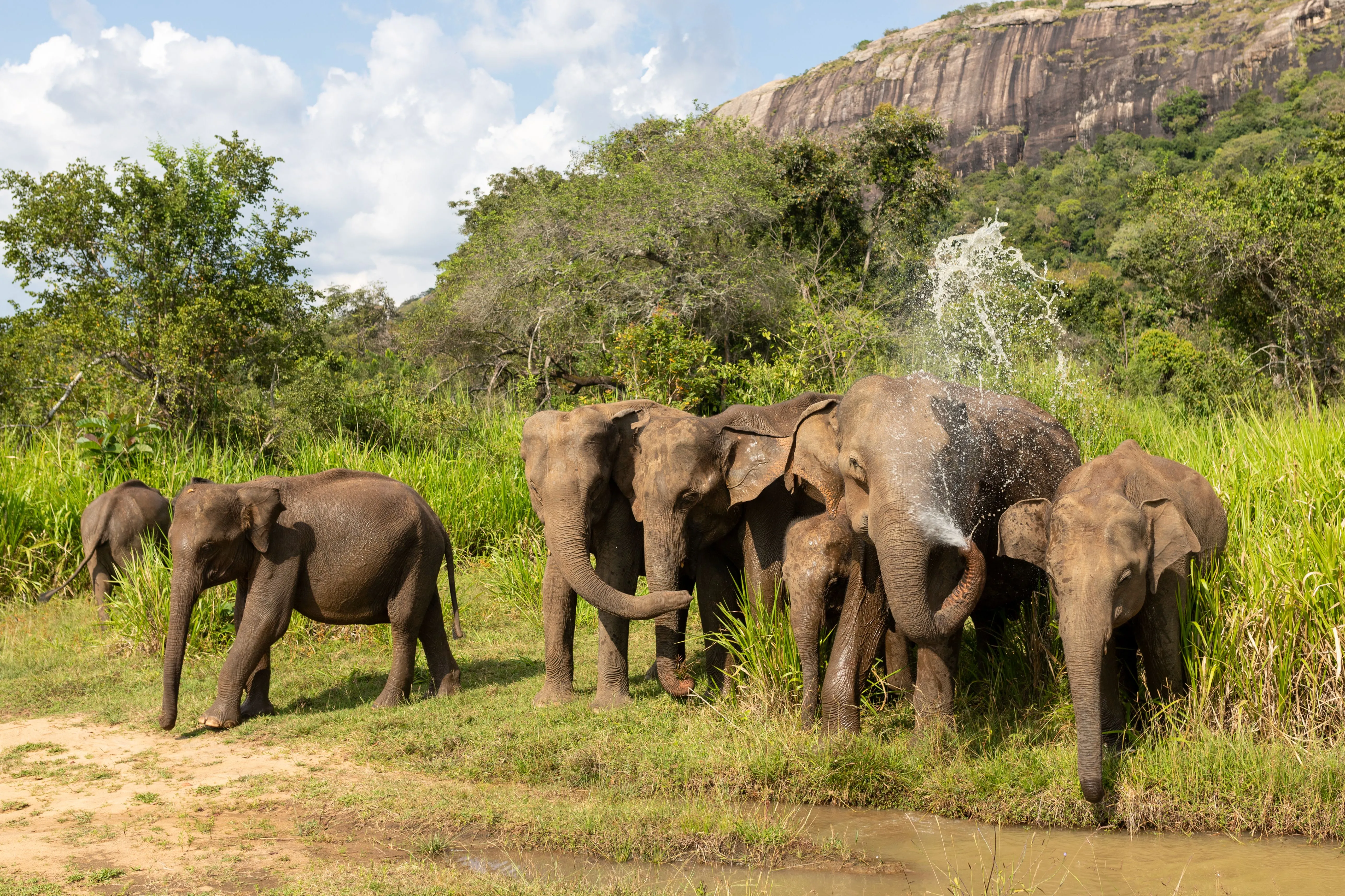 Yala National Park, Sri Lanka